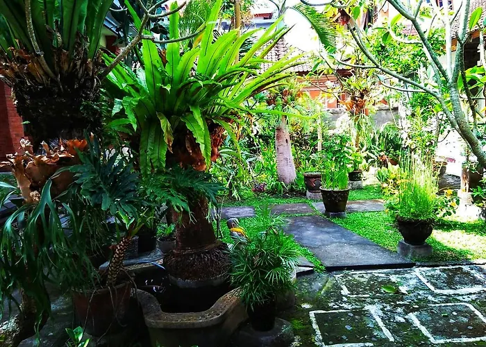 Yumi House Ubud